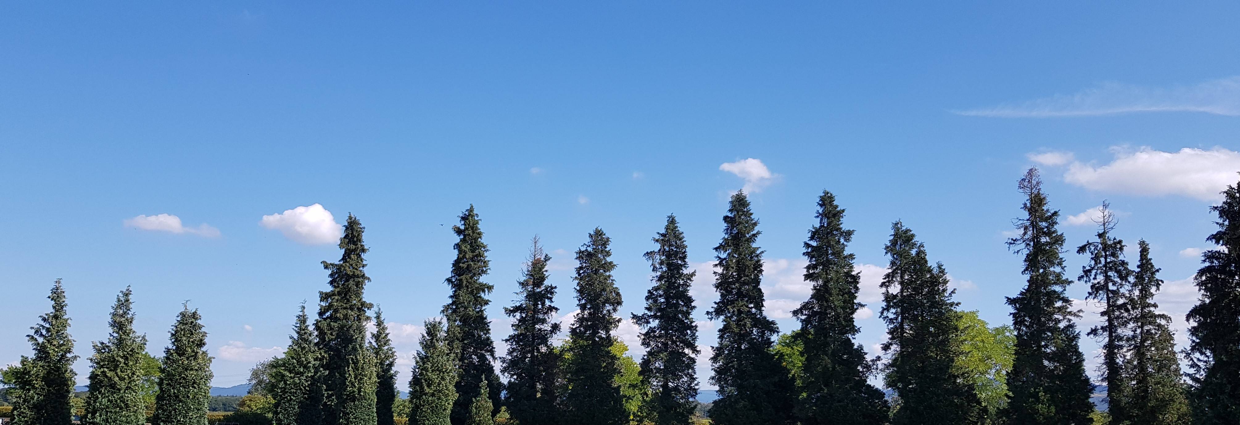 Quelle: KL